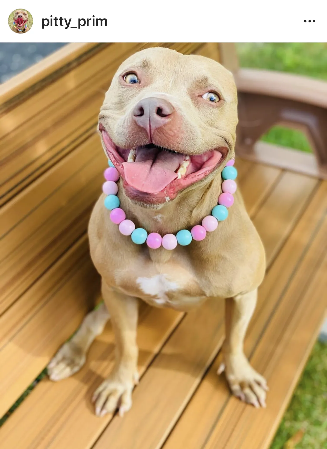 Cotton Candy Acrylic Bead Collar