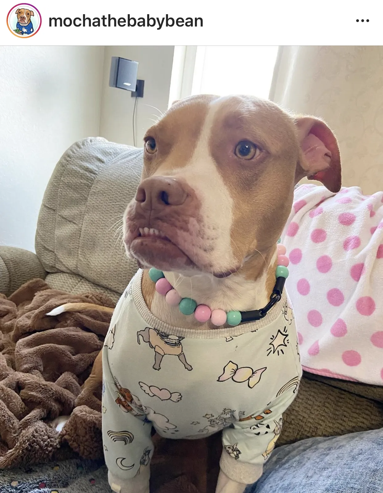 Cotton Candy Acrylic Bead Collar