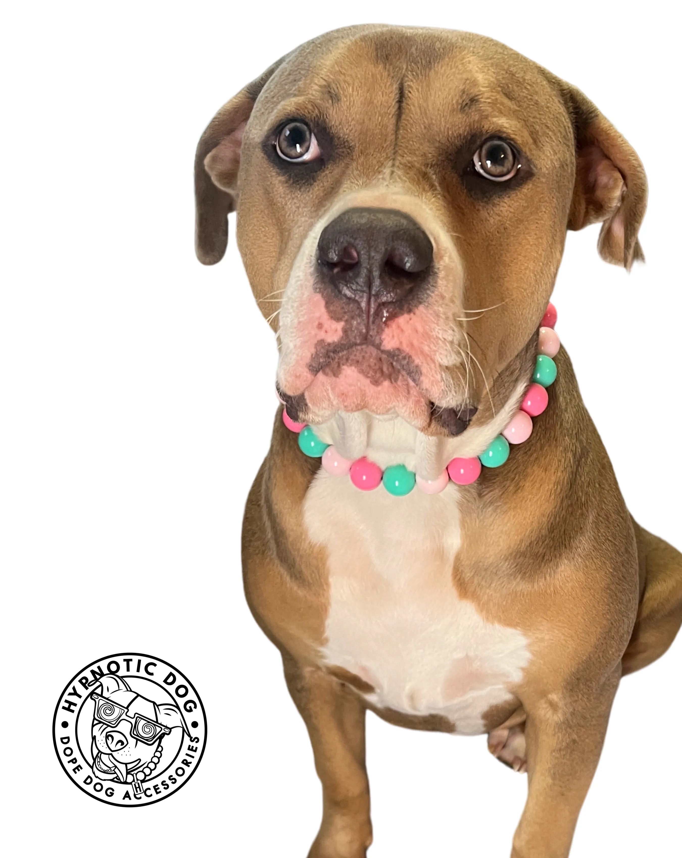 Cotton Candy Acrylic Bead Collar