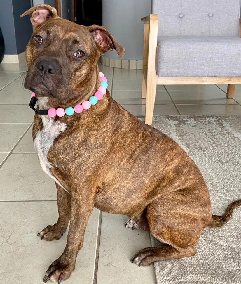 Cotton Candy Acrylic Bead Collar