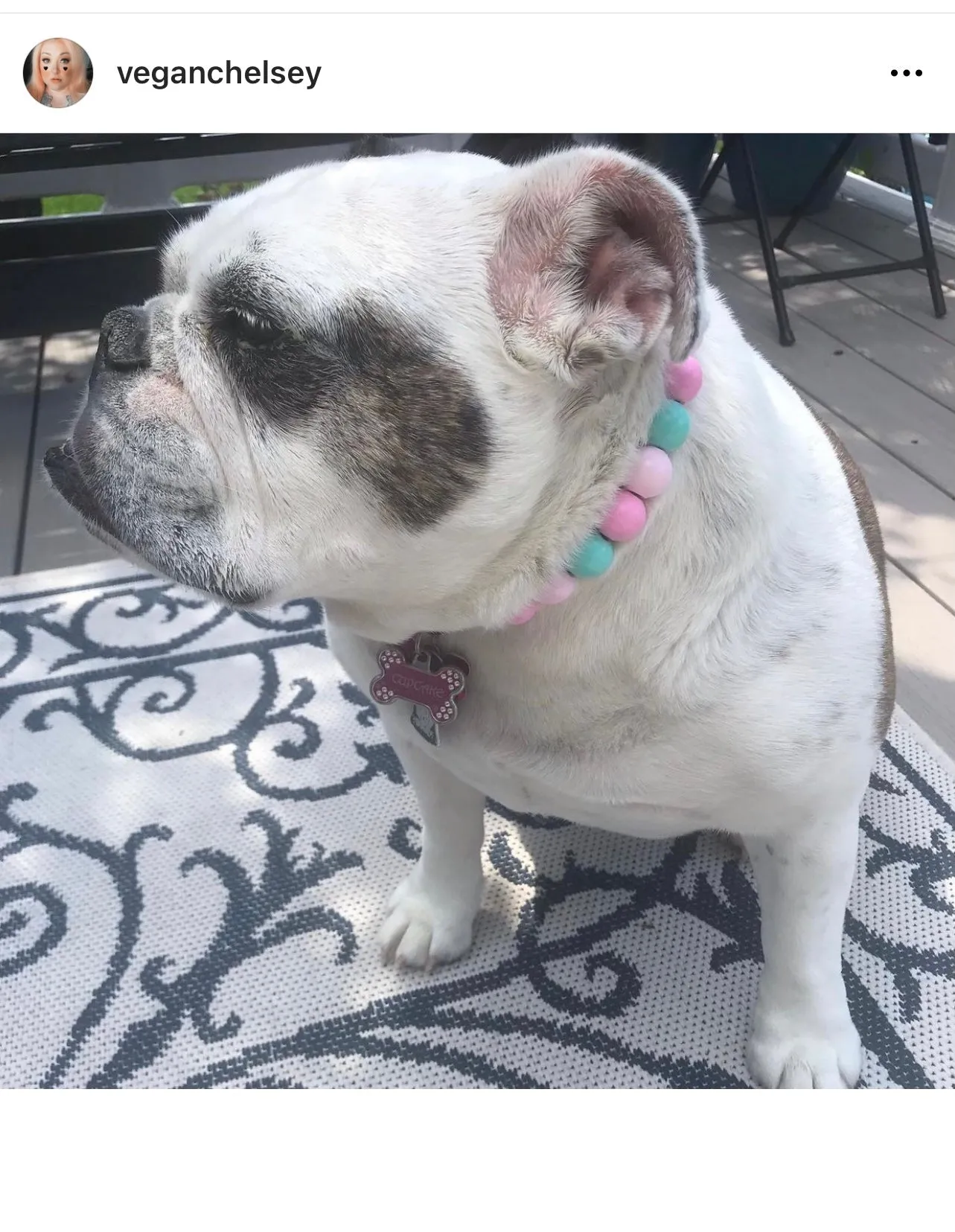 Cotton Candy Acrylic Bead Collar
