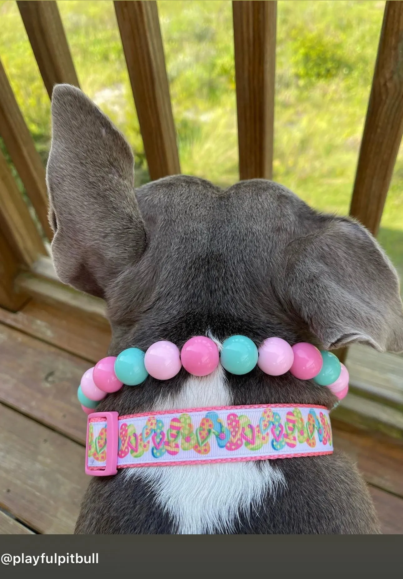 Cotton Candy Acrylic Bead Collar