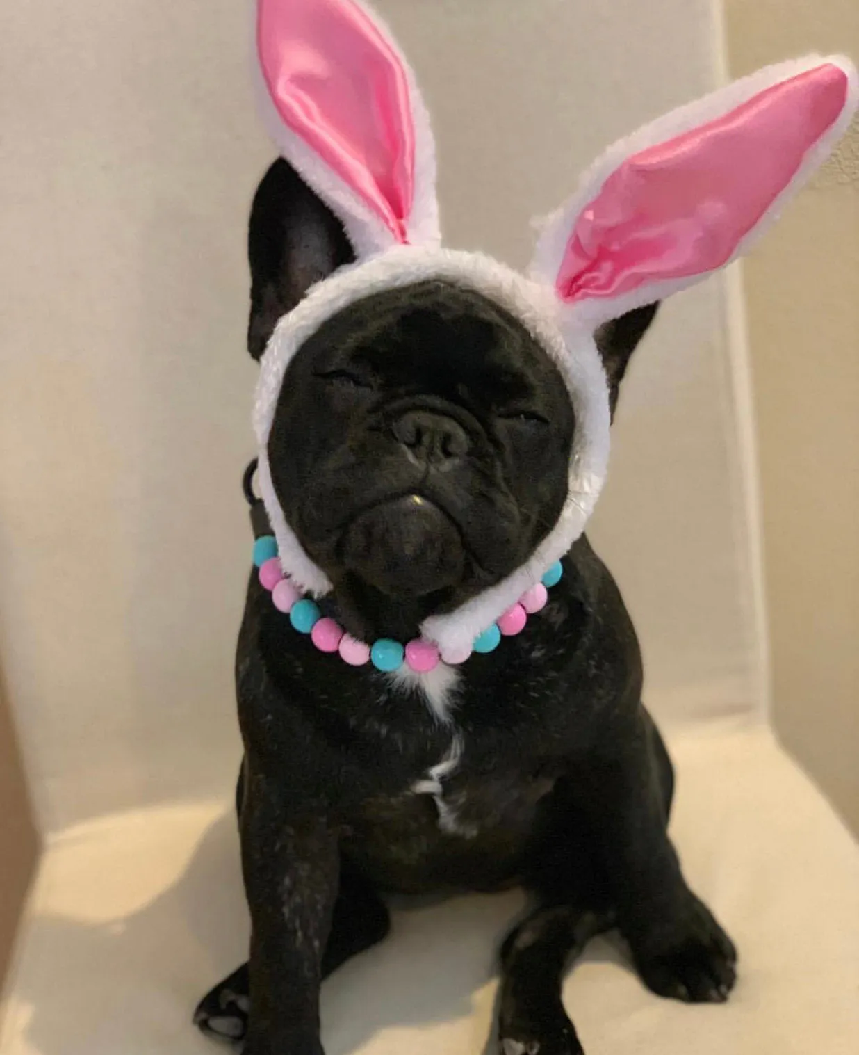 Cotton Candy Acrylic Bead Collar