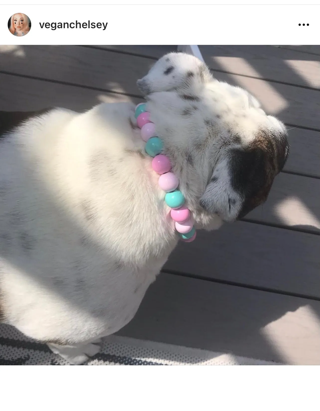 Cotton Candy Acrylic Bead Collar