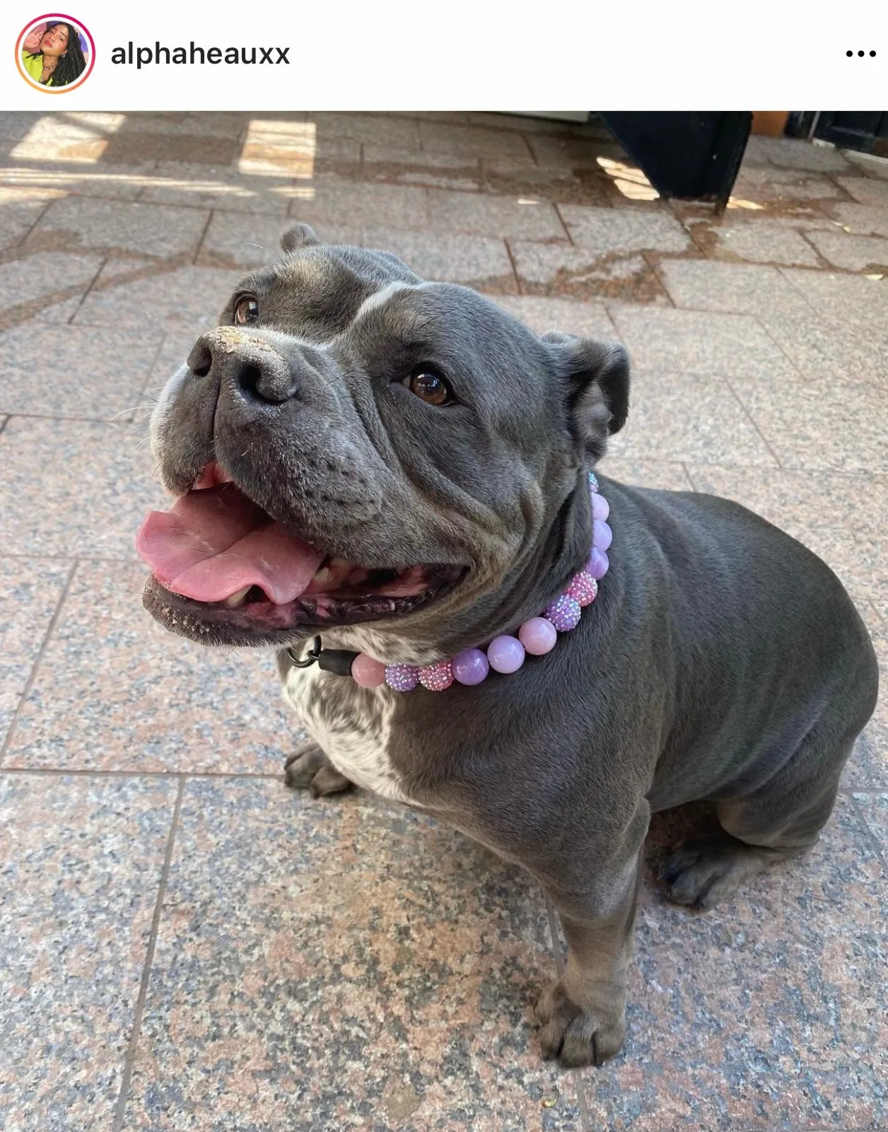 Duchess Glam Bead Collar