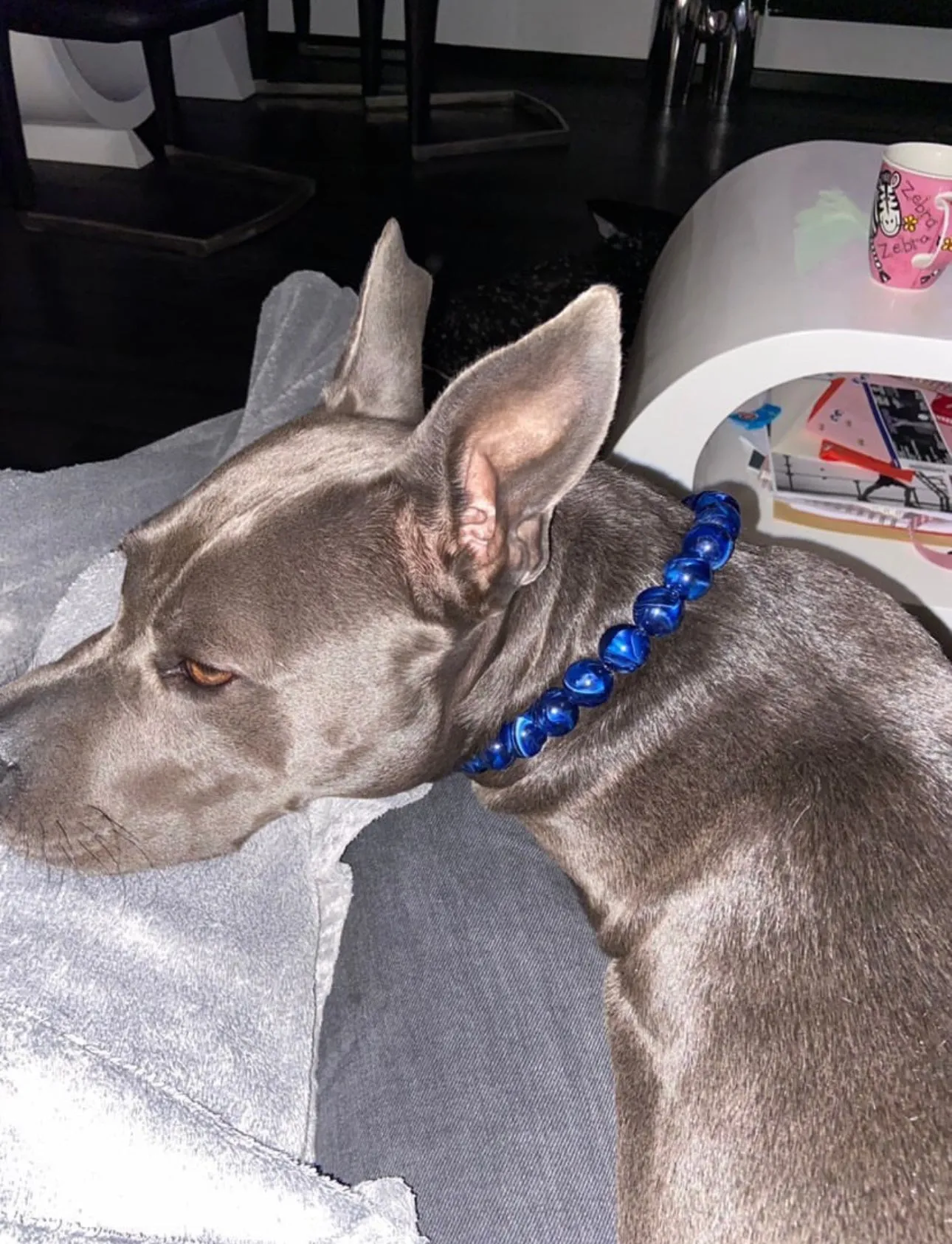 Midnight Smoke Acrylic Bead Collar